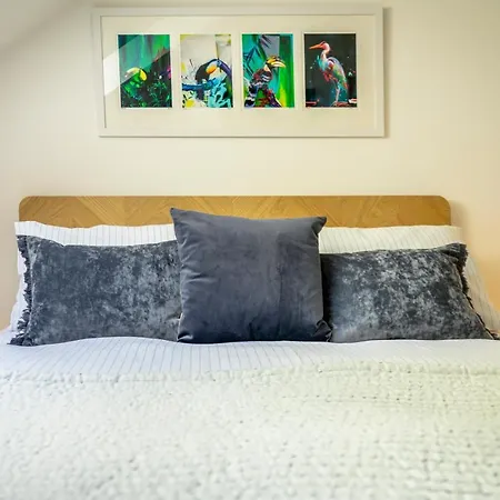 The Loft At St. John's Apartment