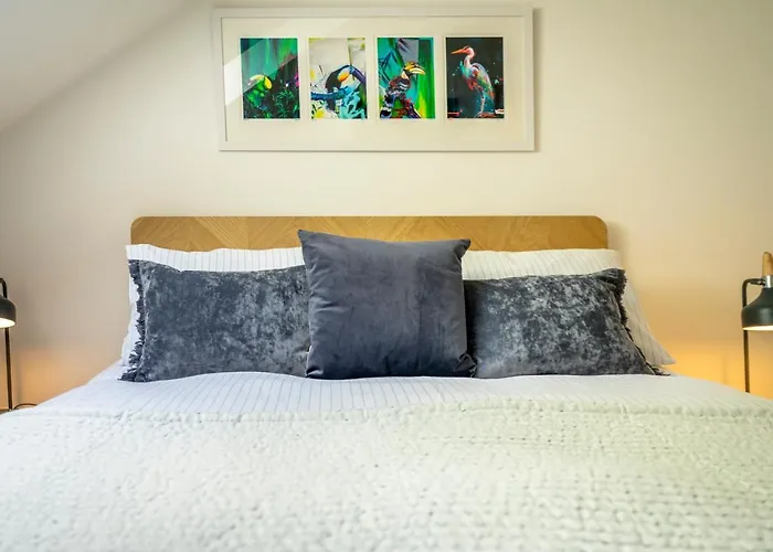 The Loft At St. John's Apartment